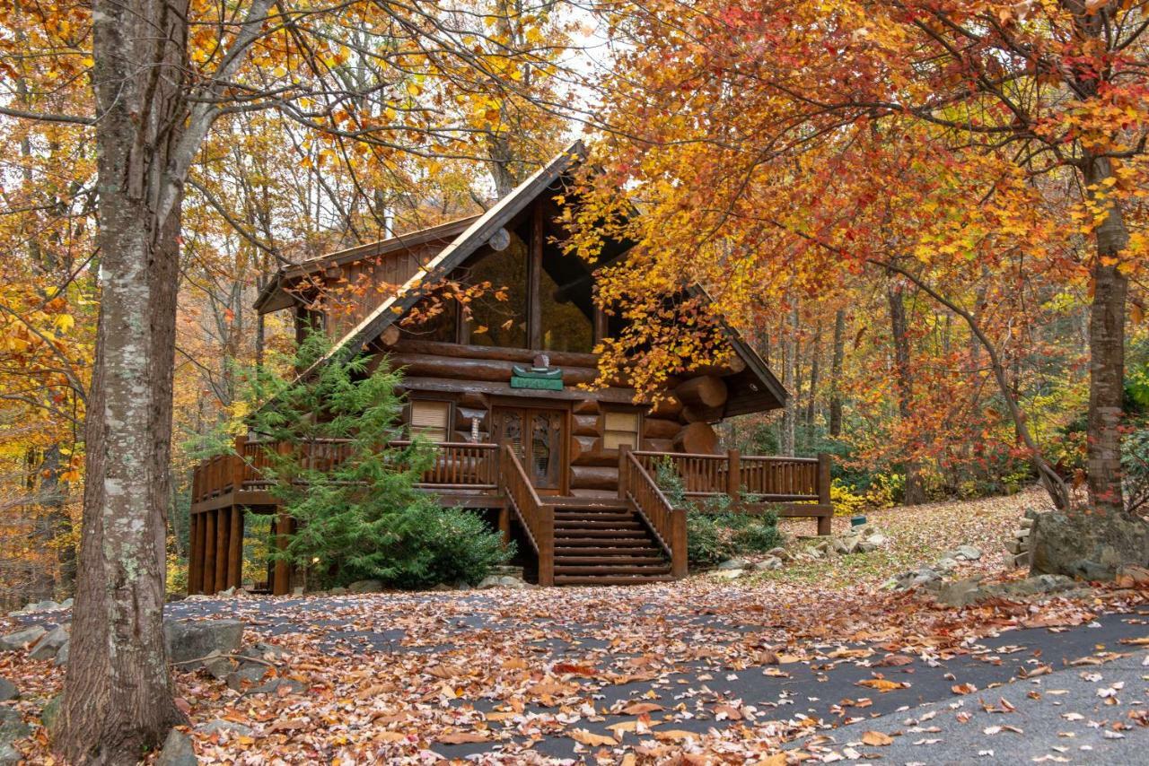 Chief Big Log Villa Hatchertown Exteriör bild